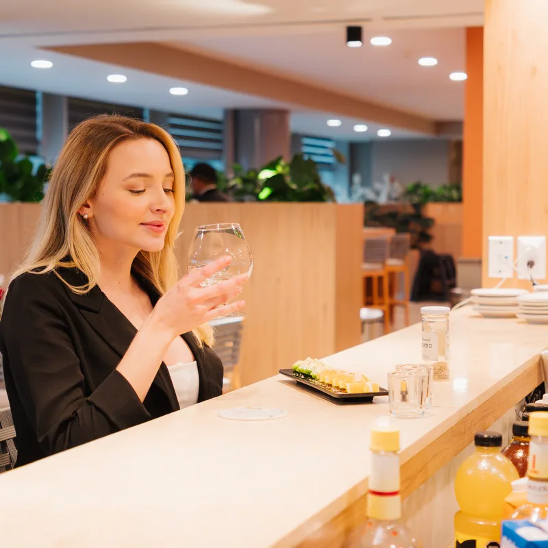 The Grand Lounge Elite en Aeropuerto Internacional Felipe Ángeles